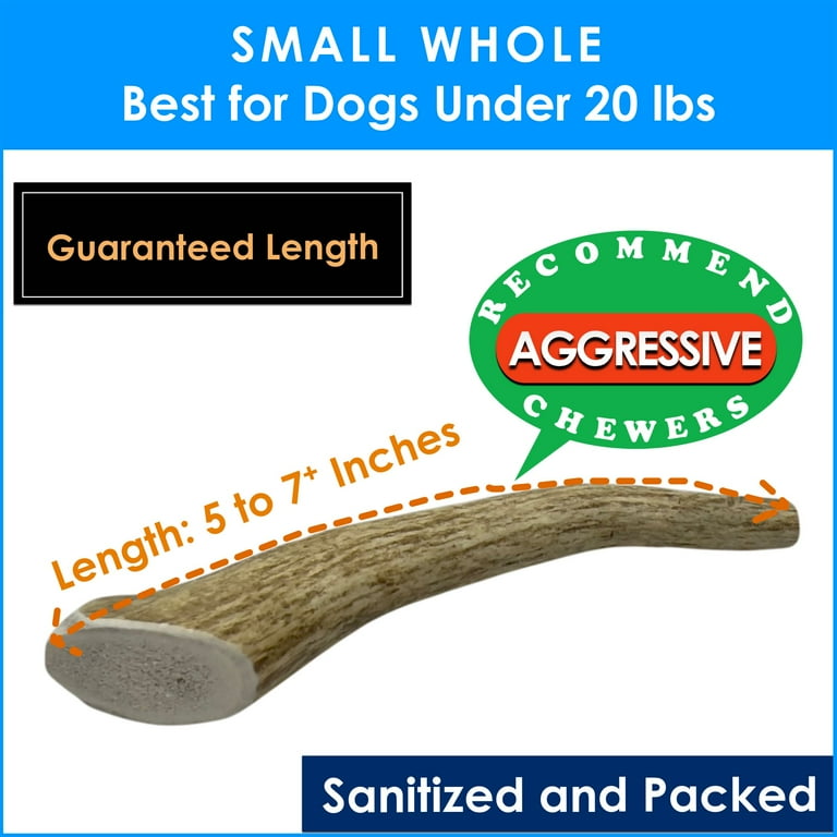 Deluxe Naturals Small Whole Elk Antler Chews, 2 Pack photo 7