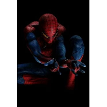 Spiderman Poster Giclee Print 27Inx40In for any room 27x40 Multi-Color Square Adults Best Posters