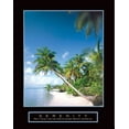 thumbnail image 2 of Frontline 20x24 White Modern Wood Framed Museum Art Print Titled - Serenity - Palm Trees, 2 of 4