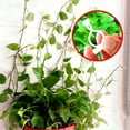thumbnail image 6 of Fairnull 10Pcs/Set Saving Space Plant Clip Drill Free Flexible Climbing Wall Green Plant Fixer Vine Hook for Garden, 6 of 8