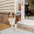 thumbnail image 2 of Dog Door Replacement Flaps 3-Flap Large Dog Door Replacement Insulated Flap With Clamp, Back Plate And Screws, Compatible With Large PetSafe Extreme Weather Aluminum Pet Door, PAC11-11039 10 1/8" X 16 7/8 2 of 9