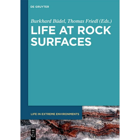 Life in Extreme Environments Life at Rock Surfaces: Challenged by Extreme Light, Temperature and Hydration Fluctuations, Book 9, (Hardcover)
