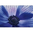 thumbnail image 2 of LeBlanc, Dawn 32x23 Gold Ornate Wood Framed with Double Matting Museum Art Print Titled - Windsong, 2 of 4