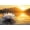 Orange/White, variant on Mudket Framed Canvas Wall Art, White Orchid Candles Zen Stones Wall Decor, Elegant Calming Spa Floral Waterproof Art Prints for Bathroom Bedroom Living Room Home Decor - 12"L x 8"W