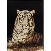 Animal Print Rugs Well Woven Miami Tiger Animal Print Area Rug Black