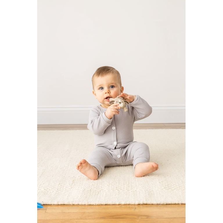 Itzy Ritzy Ritzy Teether Puppy, Textured Silicone photo 4