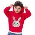 thumbnail image 5 of Frostluinai Cute Hoodies for Toddler Boy 2-7Y Little Girls Graphic Print Sweatshirts Fall Warm Pullover Tops Long Sleeve Casual Hoodies, 5 of 6