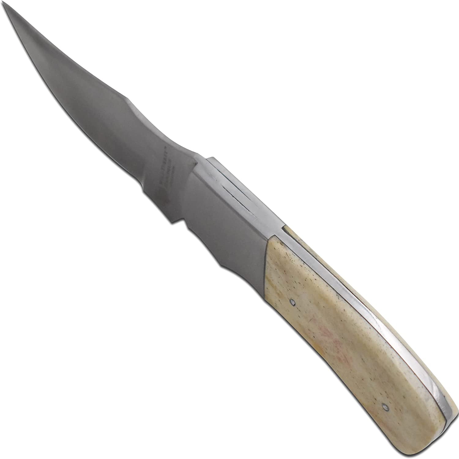Wild Turkey Handmade 8-inches Stainless Steel Fixed Blade EDC Hunting Knife with Sheath