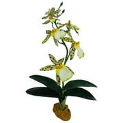 Komodo Silk Orchid Plant with Gravel Base, Aquarium Decor, 14 Inches Tall