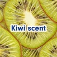 thumbnail image 3 of Softsoap Limited Edition Liquid Hand Soap, Kiwi Scent, 7.5 fl oz Pump Bottle, 3 of 13
