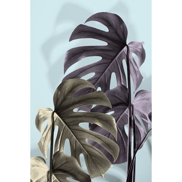 Monstera Blue 02 by Artographie Studio Item VARPDX90191