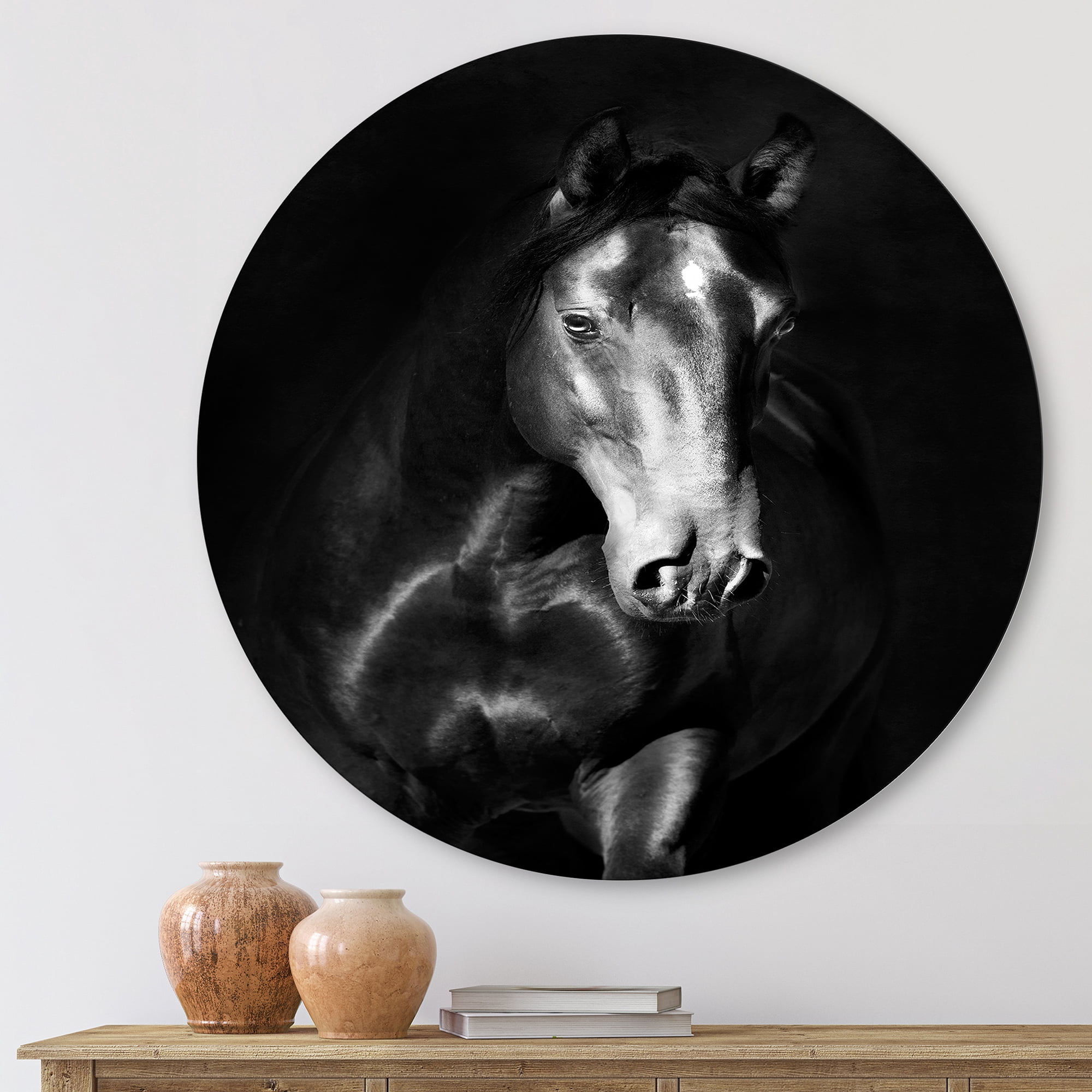 Designart 'Close Up Portrait Of Black Kladruby Horse' Farmhouse Circle Metal Wall Art 23x23 - Disc of 23