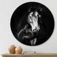 thumbnail image 2 of Designart 'Close Up Portrait Of Black Kladruby Horse' Farmhouse Circle Metal Wall Art 23x23 - Disc of 23, 2 of 5