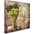 thumbnail image 2 of Trademark Fine Art "Wine Country VI" Canvas Art by Color Bakery, 2 of 3