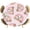 Pink, variant on Pink Cartoon Elephant Round Tablecloth 36-44 Inch Round Fitted Table Cloth with Elastic Edge, Spring Floral Botanical Rainbow Waterproof Table Cover Protector for Outdoor Picnic Party Dining