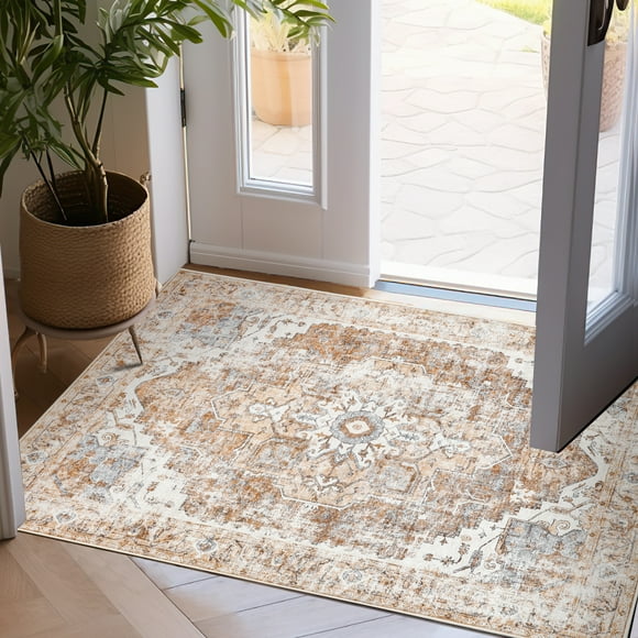 RUGKING Area Rug 2x3 Indoor Entryway Vintage Red Print Carpet Distressed Chenille Thin Mat Foldable Non Slip Accent Rug for Kitchen Living Room