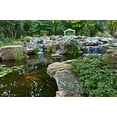 thumbnail image 2 of Aquascape 96032 Maintain For Pond Water Treatments For Automatic Dosing System- 32 oz., 2 of 6