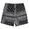 thumbnail image 3 of Daznico Girls Bandana Paisley Print Athletic Shorts Elastic Waist Soft Breathable Lightweight Casual Summer Playwear,9-10 Years, 3 of 3