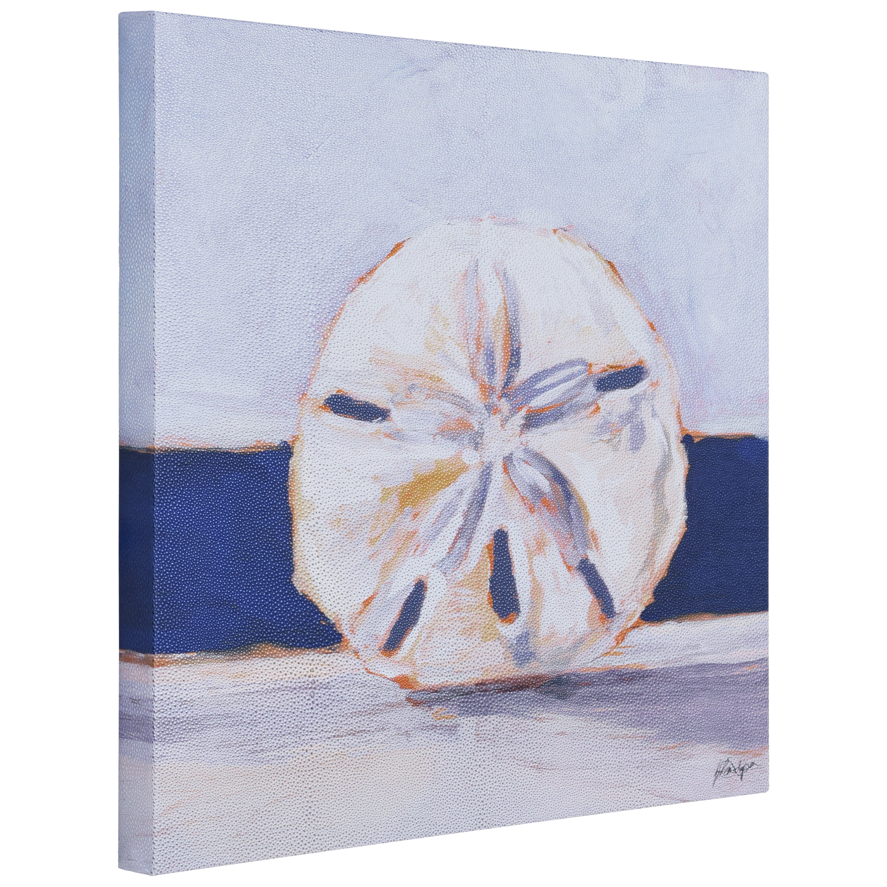 "Coastal Serenity I", Sand Dollar Rendered on Silver Metallic Shagreen Wrapped Canvas Wall Art, sized 22"x22"