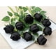 thumbnail image 5 of Xiao Hua 10 rosas artificiales de tallo largo de seda para ramo de boda, decoración del hogar (negro), 5 of 5