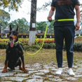 thumbnail image 5 of Laisse pour Chien Premium Mains Libres Longueur Poignée Laisse Élastique Ceinture Réglable Corde Rétractable pour Marche Randonnée Jogging Vélo Course Noir Vert 2.5mmx140-170c, 5 of 5
