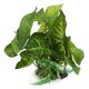 thumbnail image 2 of Plantas de tanque de peces de plantas altas hierba de agua de plástico paisaje de caja de reptiles para todos los peces decoración de acuario peces ornamentales Octpeak Otros, 2 of 8