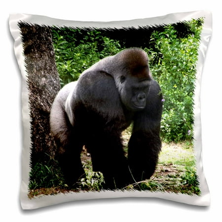 3dRose Silverback Male Gorilla walking head down - Pillow Case, 16 by 16-inch
