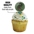 thumbnail image 3 of Crocodile in Swamp Cupcake Picks Toppers Decoration Set of 6, 3 of 6