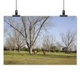 thumbnail image 2 of Print: Rural Alabama In The Spring, 2010, 2 of 4