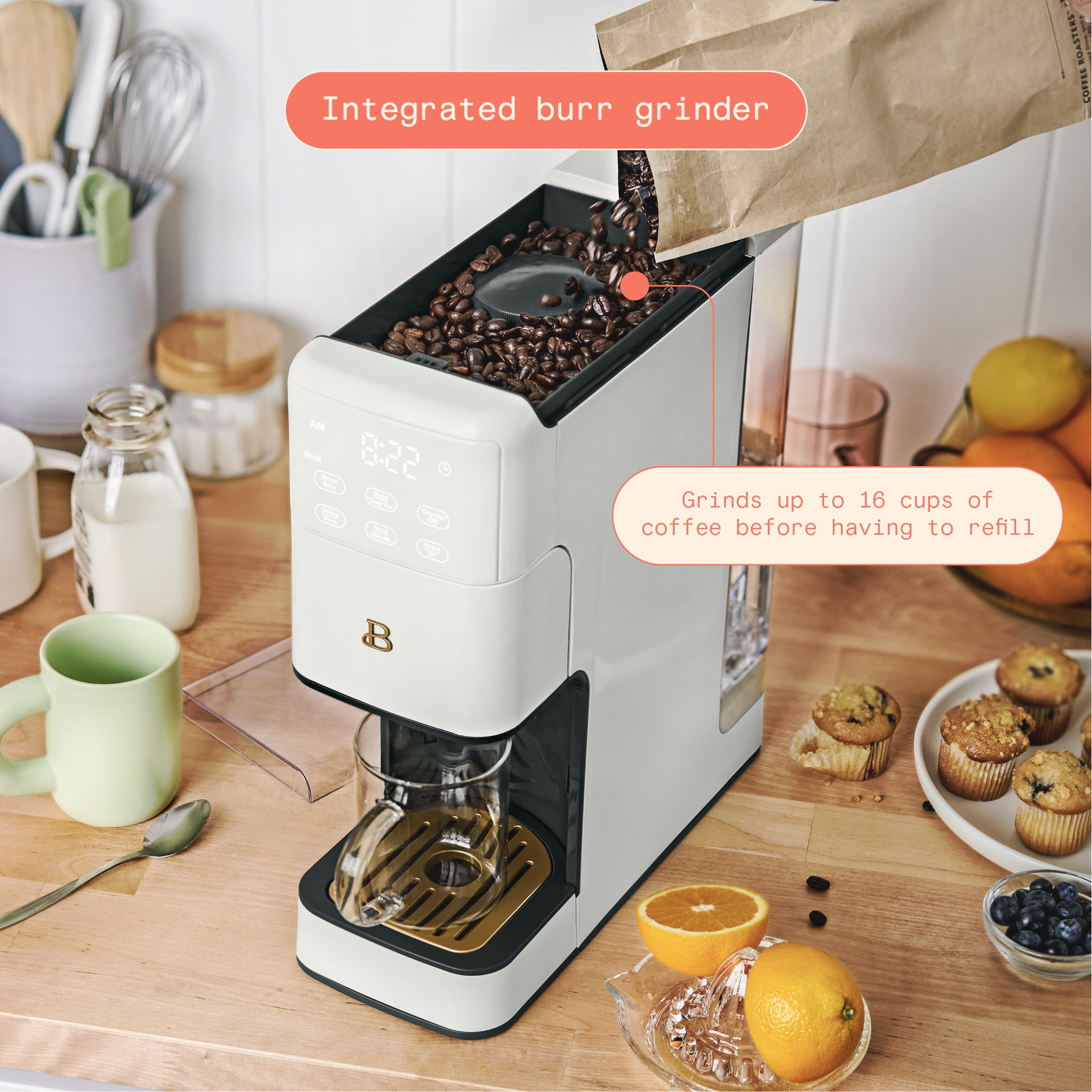  Beautiful By Drew Barrymore 12-Cup Programmable Coffee Maker  with Single-Serve Function and Iced Coffee Brewing, White: Home & Kitchen