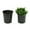 6.5x6.5cm, variant on Big Save!100pcs/set Household Garden Black Plastic Plant Nutrition Pots Practical Durable Soft Plant Nutrition Pots