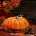 thumbnail image 2 of CNKOO 37 Pcs Simulation Pumpkin Model Halloween Decor Pumpkin Decor Miniture Decoration Halloween Mini Ornament, 2 of 10