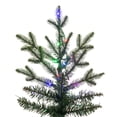 thumbnail image 5 of Vickerman 6.5' x 40" Kamas Fraser Fir Artificial Christmas Tree with 3mm LED Color Changing Lights, 5 of 7