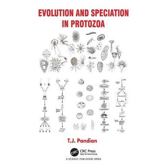 Evolution and Speciation in Protozoa, (Hardcover)