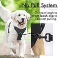 thumbnail image 2 of OUTAD Vest Nylon Chest Strap Small Dog Cat Halter Harness Lead For Large Dog And Cat Durable High Quality Nylon Pet Leash, 2 of 6