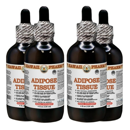 Adipose Tissue Support Tincture, Echinacea (Echinacea Purpurea) Dried Root, Gotu Kola (Centella Asiatica) Dried Leaf, Thyme (Thymus Vulgaris) Dried Herb Liquid Extract, Herbal Supplement 4x4 oz