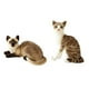 thumbnail image 1 of 2 Piezas Lindo Gato Juguetes de Peluche Suave Realista Cómodo Simulación Gatos Siameses Niños Niñas Niños Muñecas Regalos de Cumpleaños, 1 of 9