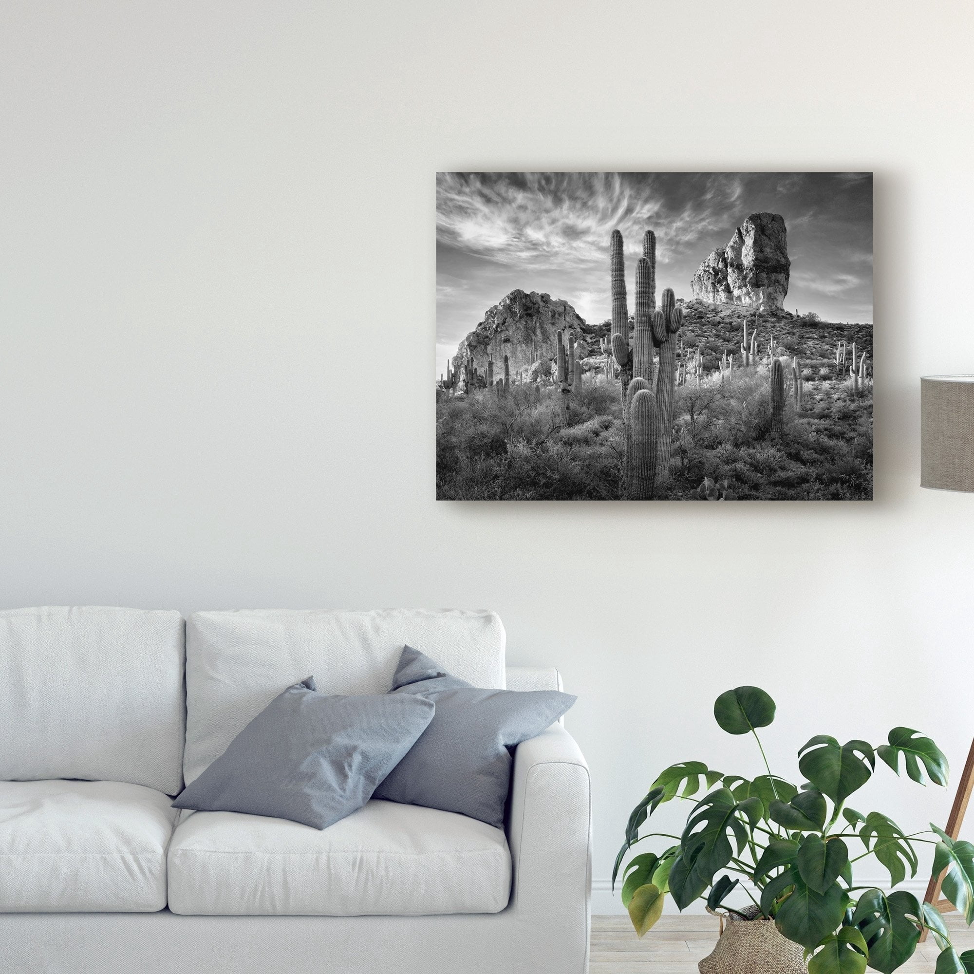 Trademark Fine Art David Drost Black And White Desert View I Canvas Wall Art - 18x24