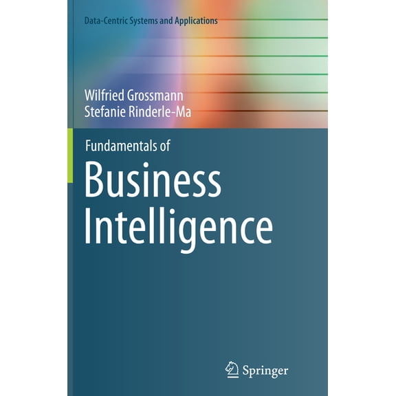 Data-Centric Systems and Applications Fundamentals of Business Intelligence, (Paperback)
