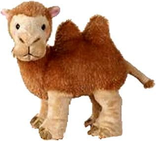 webkinz camel