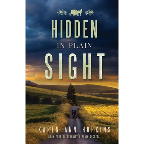 Pre-Owned Hidden in Plain Sight (Paperback) 1523947942 9781523947942