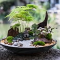 thumbnail image 3 of 5pcs Model Trees Scenery Fake Trees Mini Spruce Tree Micro Landscape Train Trees Train Railroad Trees for DIY Crafts Building Model Scenery, 3 of 9
