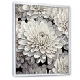 thumbnail image 2 of Designart "Ethereal Whiteness: Magical White Chrysanthemums II" Chrysanthemums Floater Framed Canvas Art Print, 2 of 5