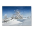 thumbnail image 2 of Trademark Fine Art "Dressed For Winter" Canvas Art by Philippe Sainte-Laudy, 2 of 4