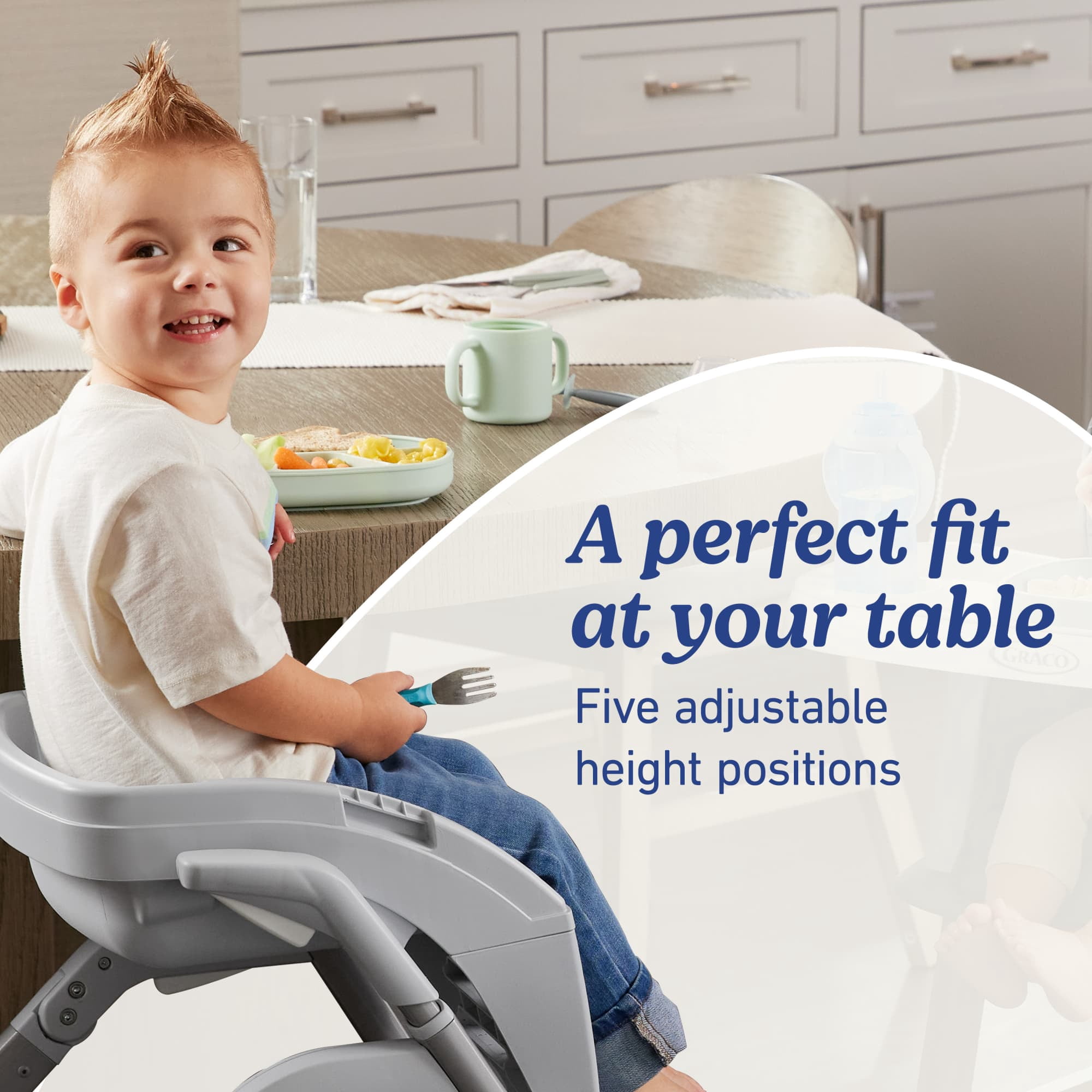Graco DuoDiner DLX Highchair, Lilac Mod