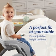 Graco DuoDiner DLX Highchair, Lilac Mod