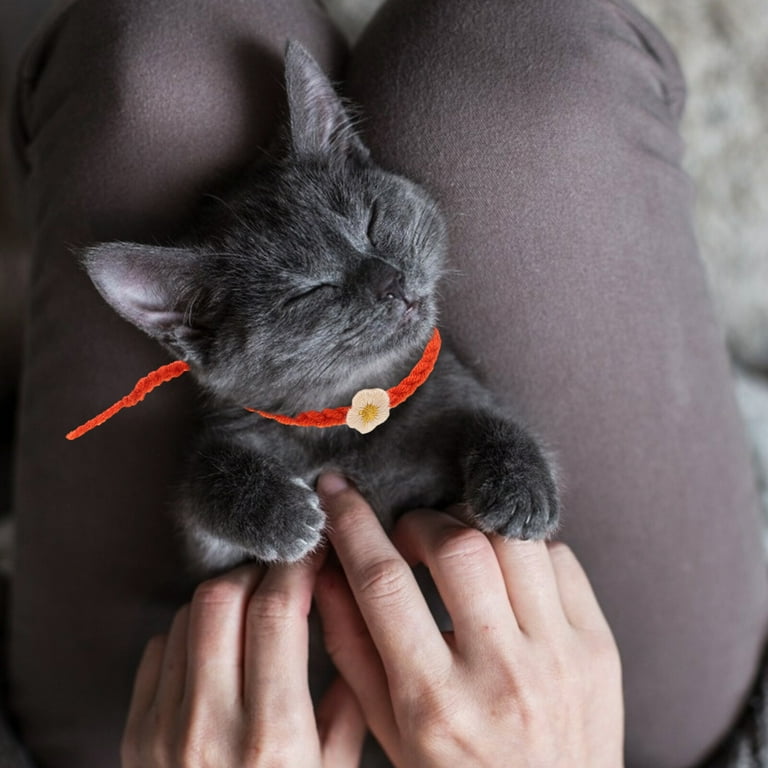 Kitten whelping collars best sale