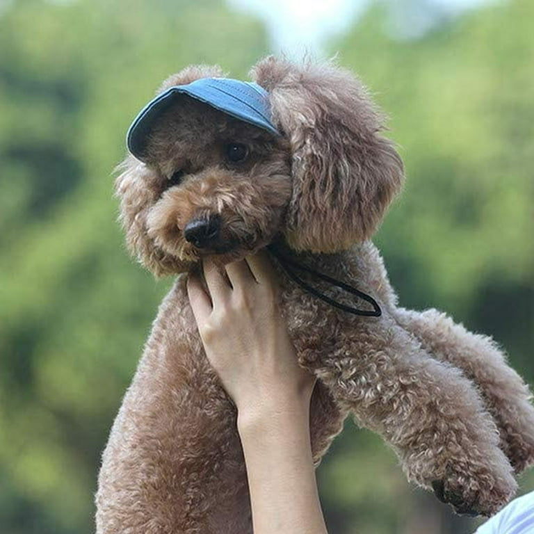 Dog bear best sale hat