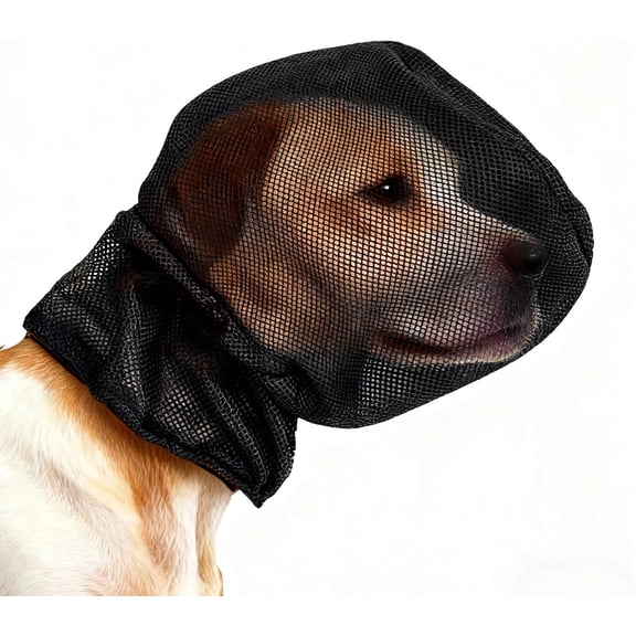 Foxtail Mask Dogs Head Protector, Foxtails Protection for Dogs Adjustable Elastic, Dog Soft Net Mask for Outdoor Hiking Camping, Breathable Mesh Muzzles for Dog(RL)