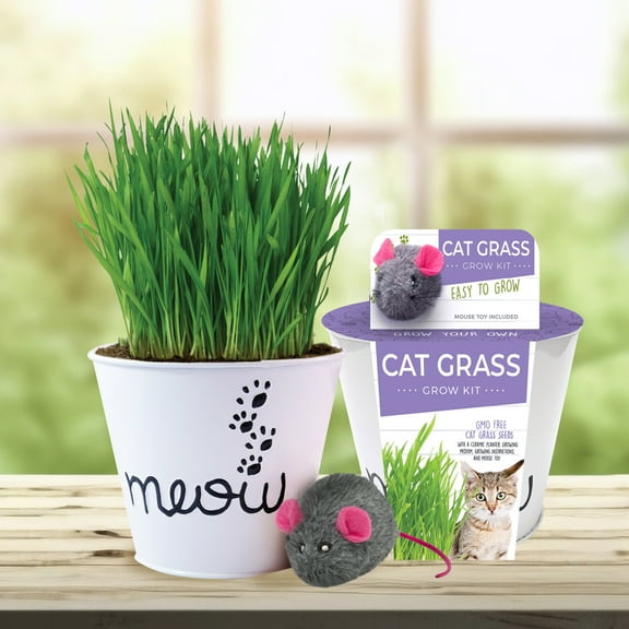 Garden State Bulb Cat Grass Herb Grow Kit with Mouse Toy (2 Pack)